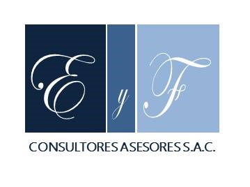 Profesionales, Consultorias y Asesorias