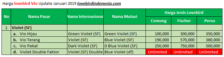 Daftar Harga Lovebird 2019 Update Bulan Januari No Hoax