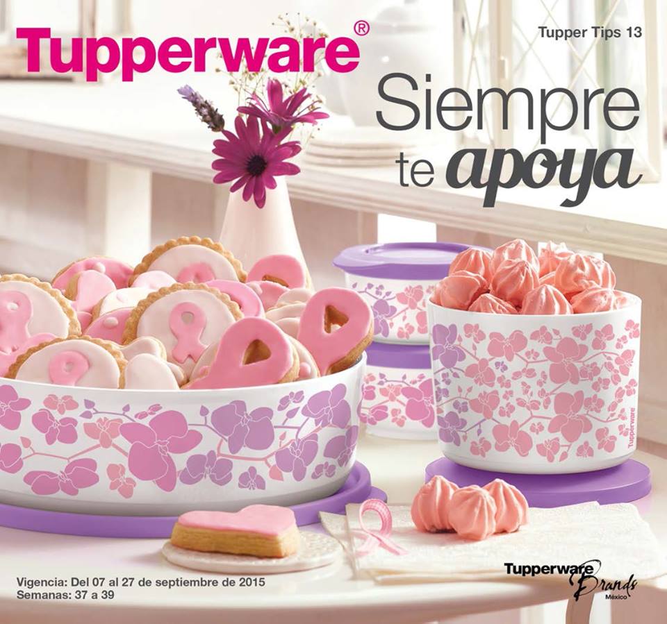 Vende Tupperware Tampico Catalogo Tupperware Tupper Tips 13