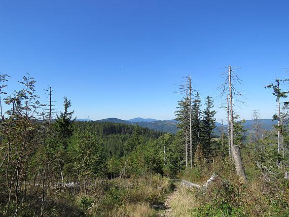 Beskid Śląsko-Morawski z podejścia na Wielki Połom.