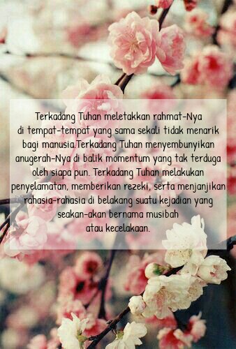 Celoteh Kiky Catatan Hijrah Menggapai Surga Di Telapak Kaki Bapak