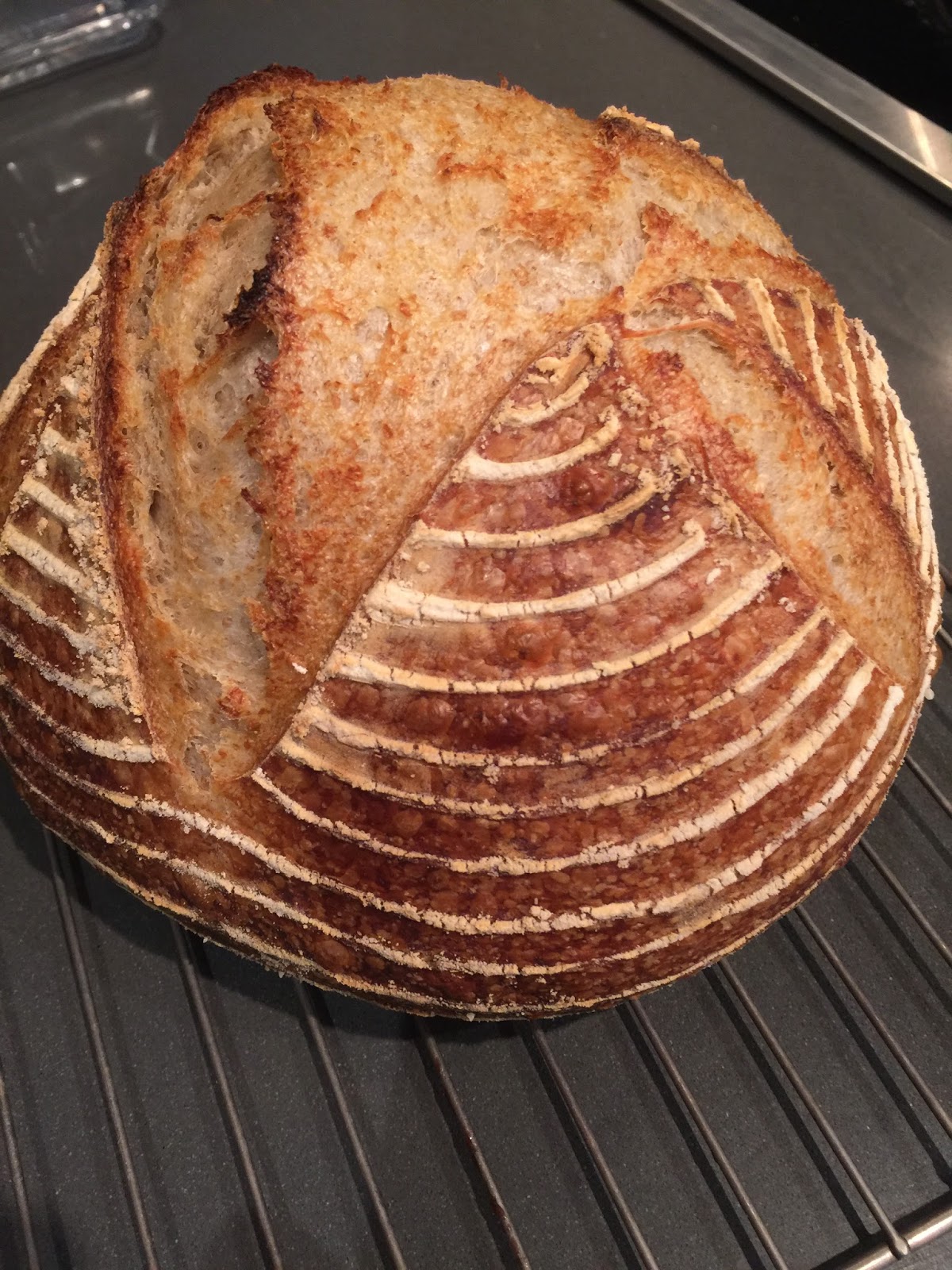 Bread-Making, Old-School, Artisan, and Beginner’s Luck . . .