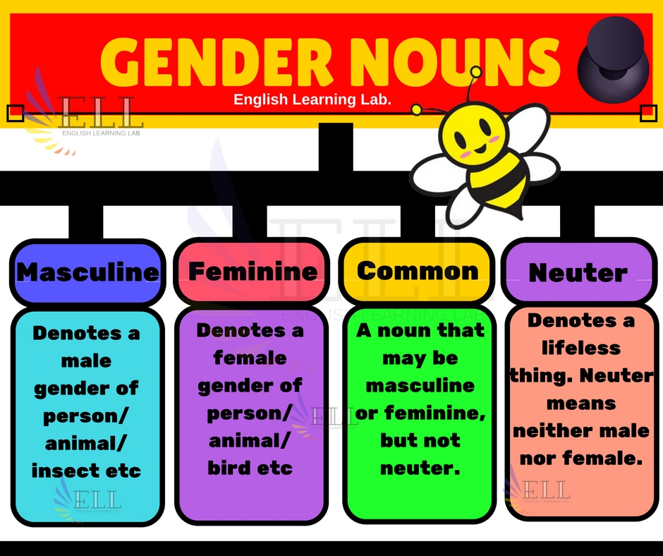 gender-of-nouns-3-worksheets