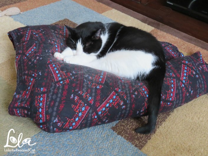 perfect cat bed|catvills.com