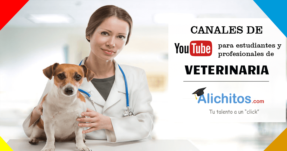cursos online gratis de Veterinaria News Ali