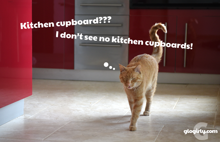 Glogirly Waffles The Kitchen Cupboard Waffleswednesday Bathroom Doors Closet Bedroom And Especially Cupboard You Asked For Proof We Ve Got It