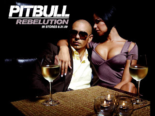 Pitbull Rebelution HD Wallpaper