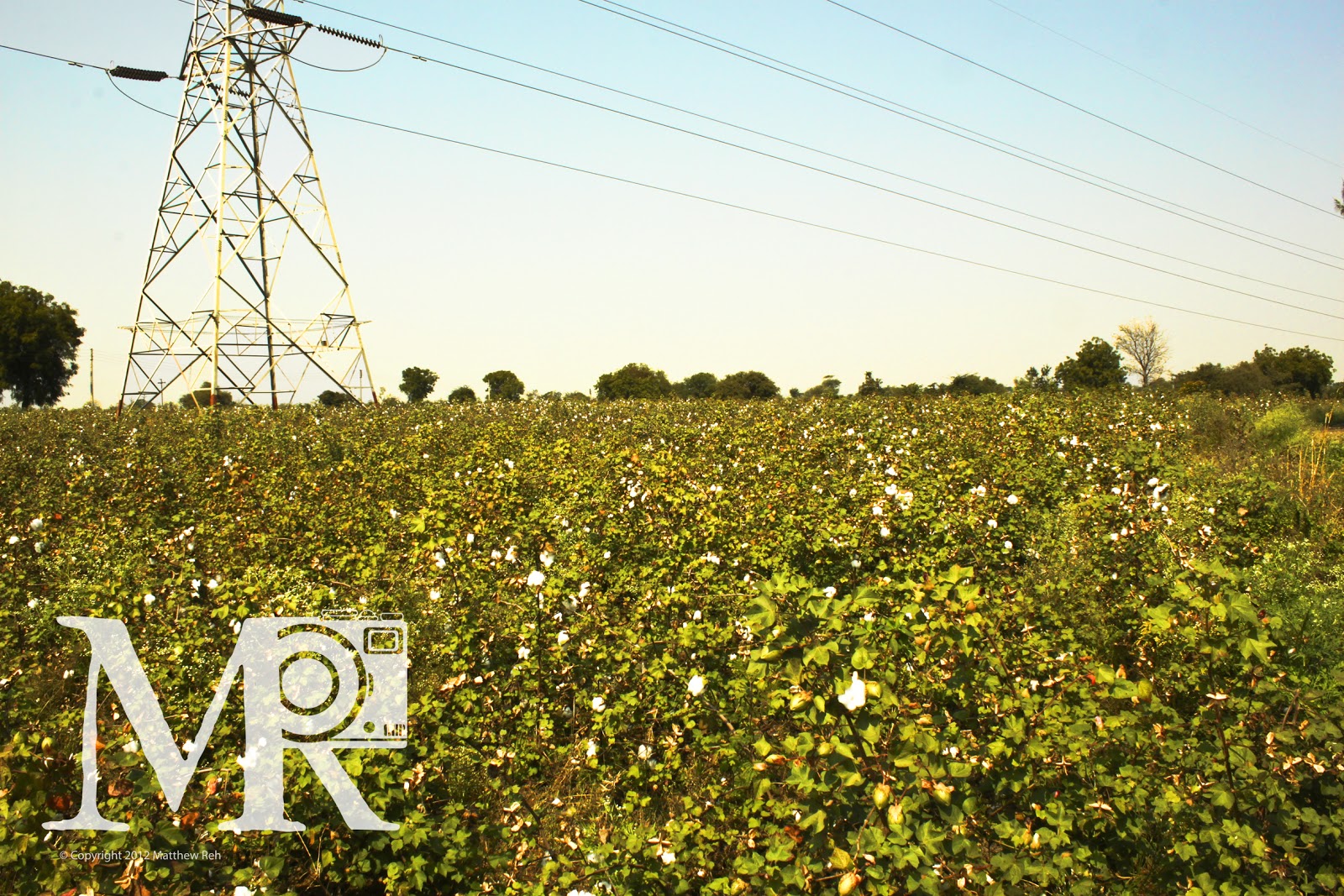Matthew Reh Photography & Film Fair Trade Organic Cotton Farm Tour