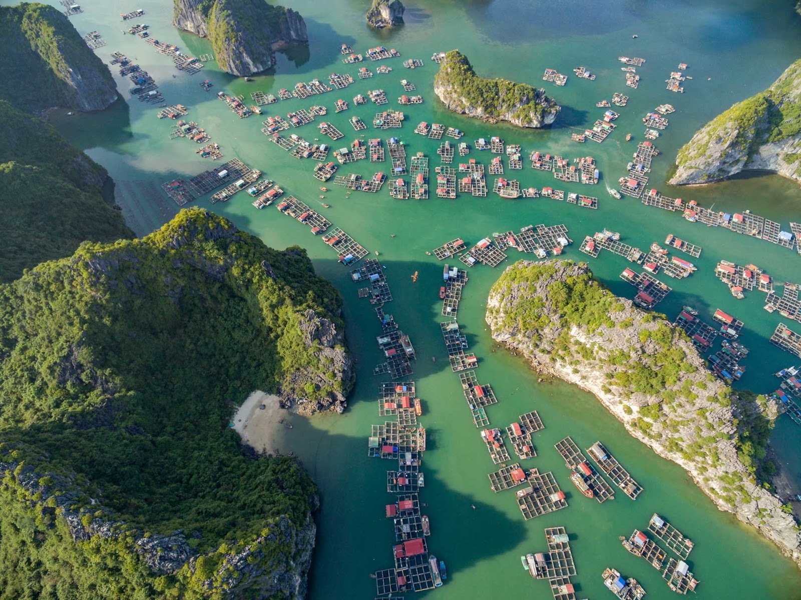 Kinh nghiệm du lịch đảo Cát Bà tự túc: lịch trình, chi phí, tham quan từ A-Z