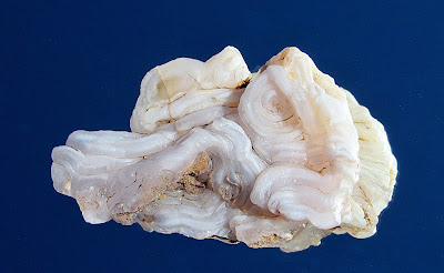 cryptocrystalline quartz