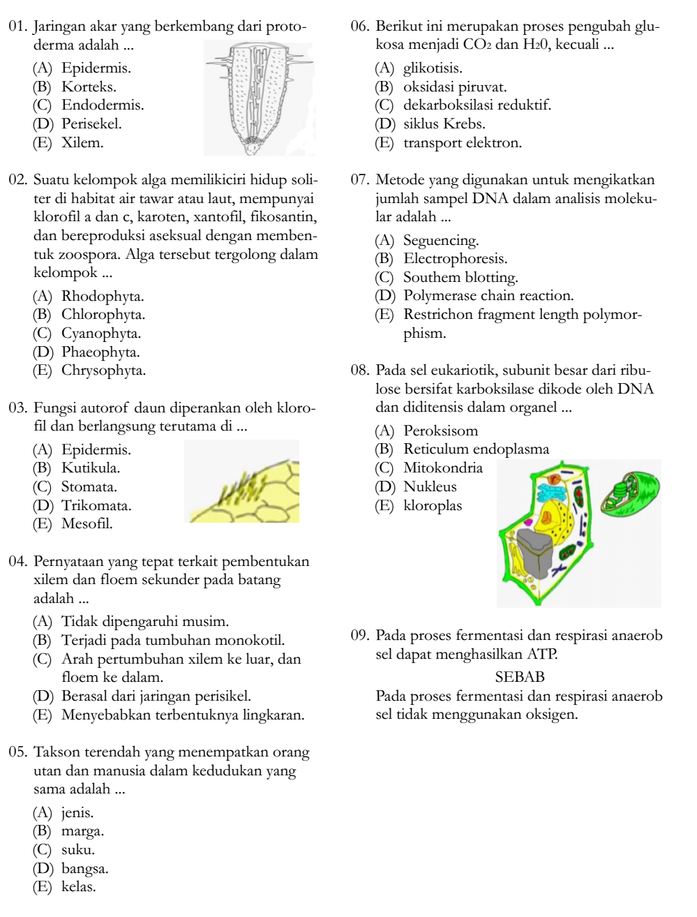 Latihan sistem pencernaan manusia image