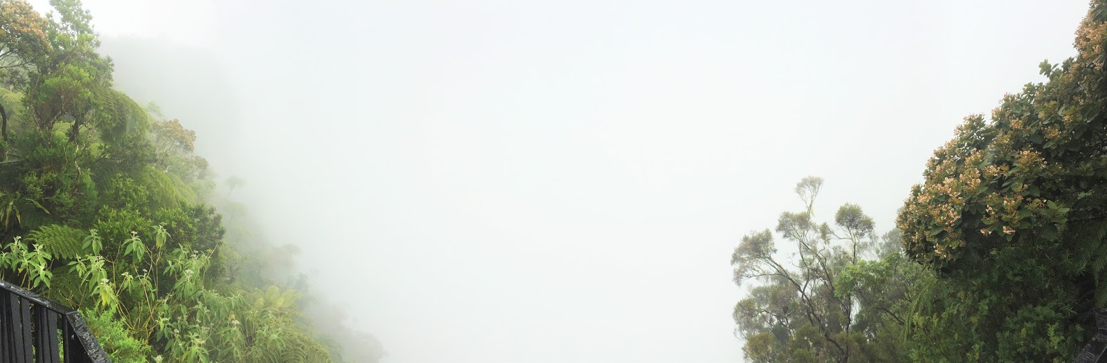 gotoreunion vacances holidays île de la réunion 974 océan indien randonnée trou de fer sentier bélouve bébour salazie rando marcheurs que faire idée sport marche les gommettes de melo vue panorama panoramique brume brouillard temps météo 