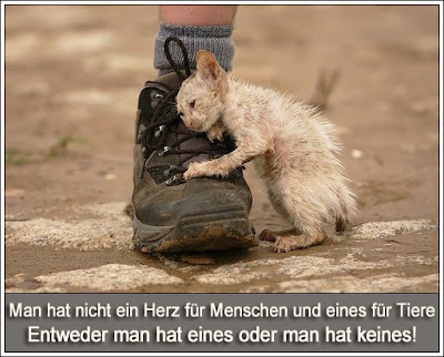 Die L stige Nachbarin M rz 2013 die-l-stige-nachbarin-m-rz-2013