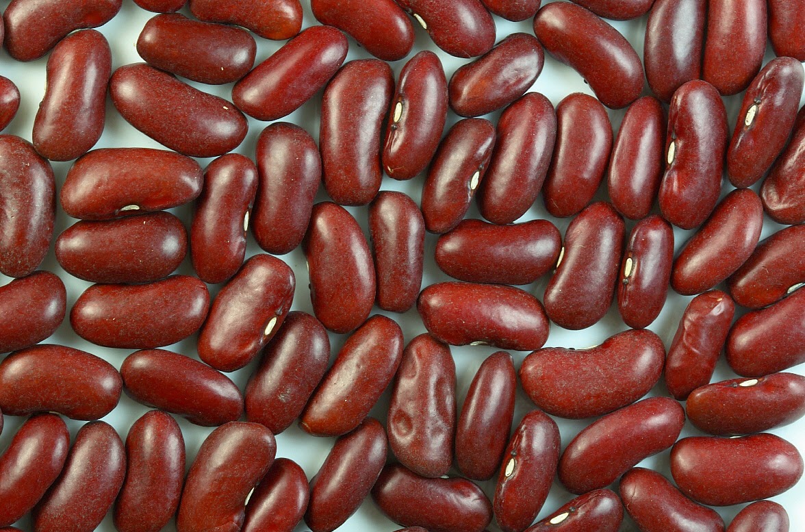 International food blog February 2017