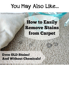 http://proverbsthirtyonewoman.blogspot.com/2016/01/how-to-easily-remove-stains-from-carpet.html#.WIKKcH3krcQ
