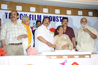 80 Years Telugu Film Industry Celebrates