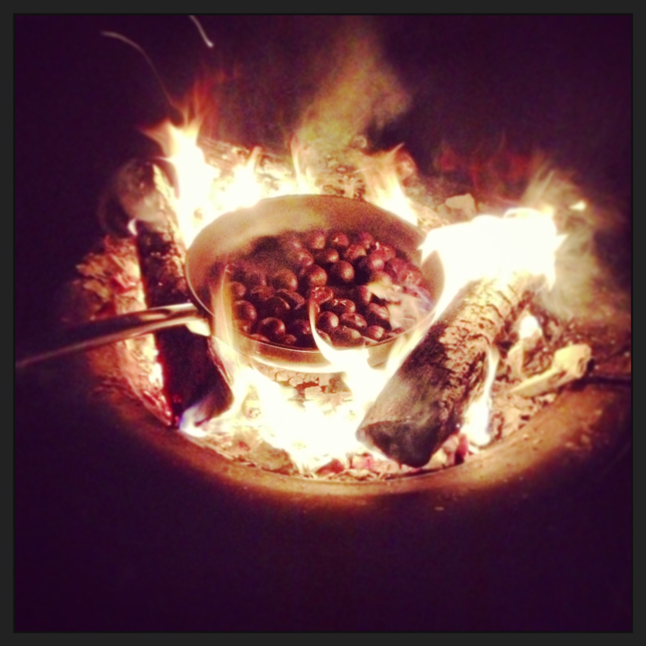 Hills Family Life: Chestnuts Roasting On An Open Fire!