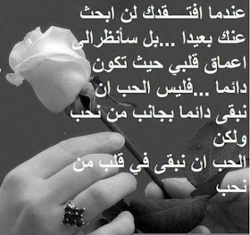shof_3bddcbffd59d79c