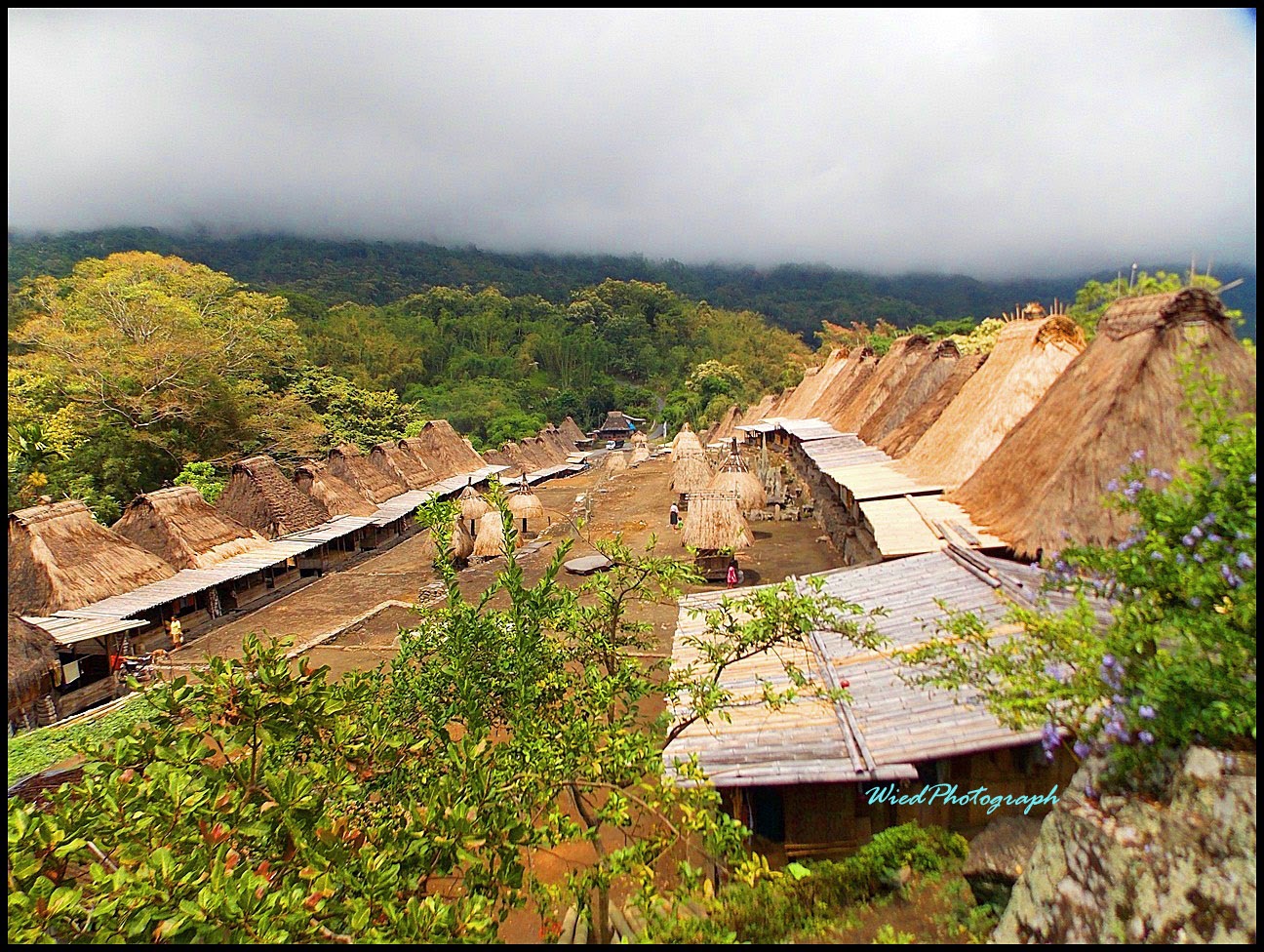 Nuansa Kampung Adat Bena Yang Tak Terlupakan - Dear Widha