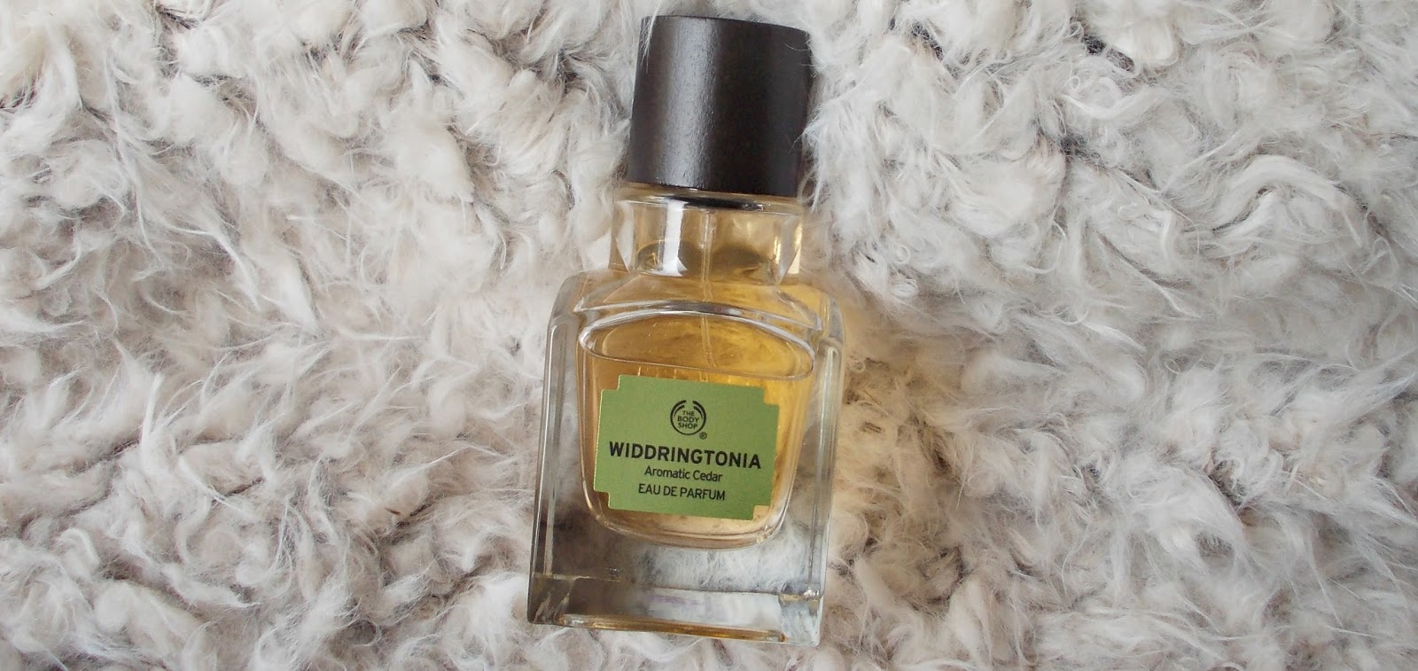 Body shop widdringtonia clearance