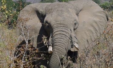 Tarangire National Park