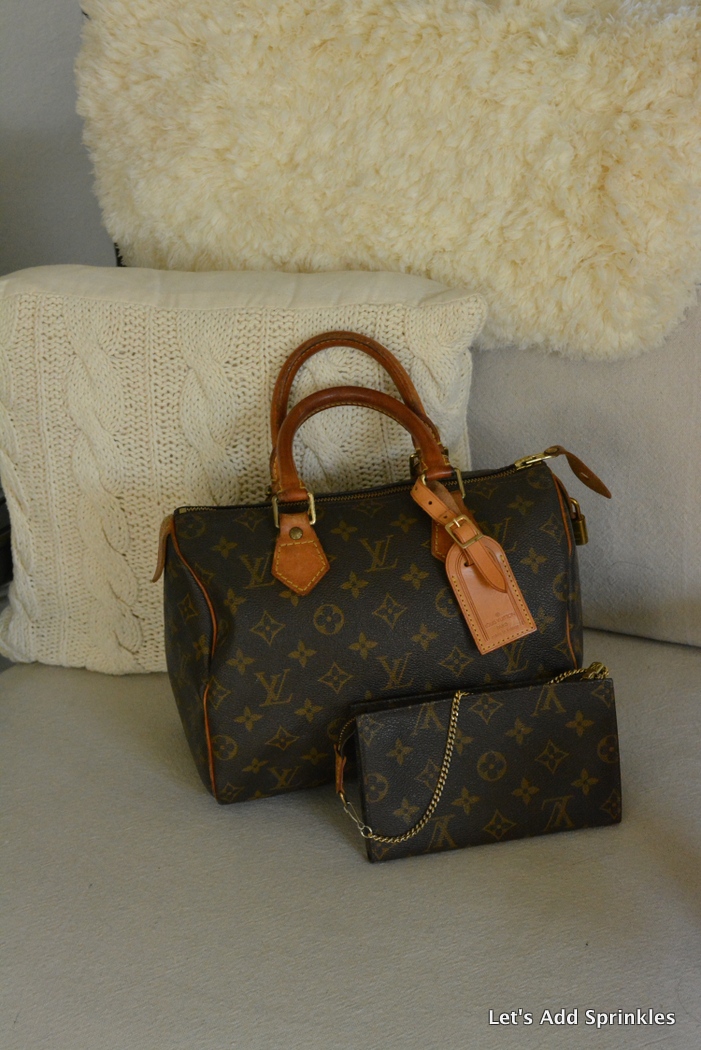 3 Simple Steps To Removing Odours From Your Louis Vuitton Bags - BagAddicts  Anonymous