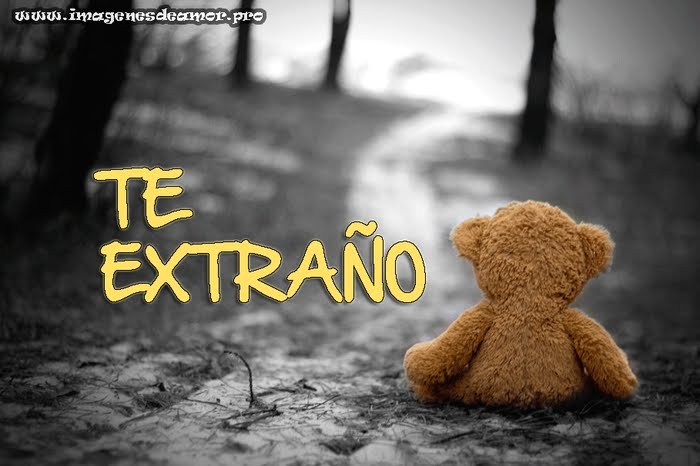 Imagenes De Amor De Te Extraño - vdbosjes.blogspot.com