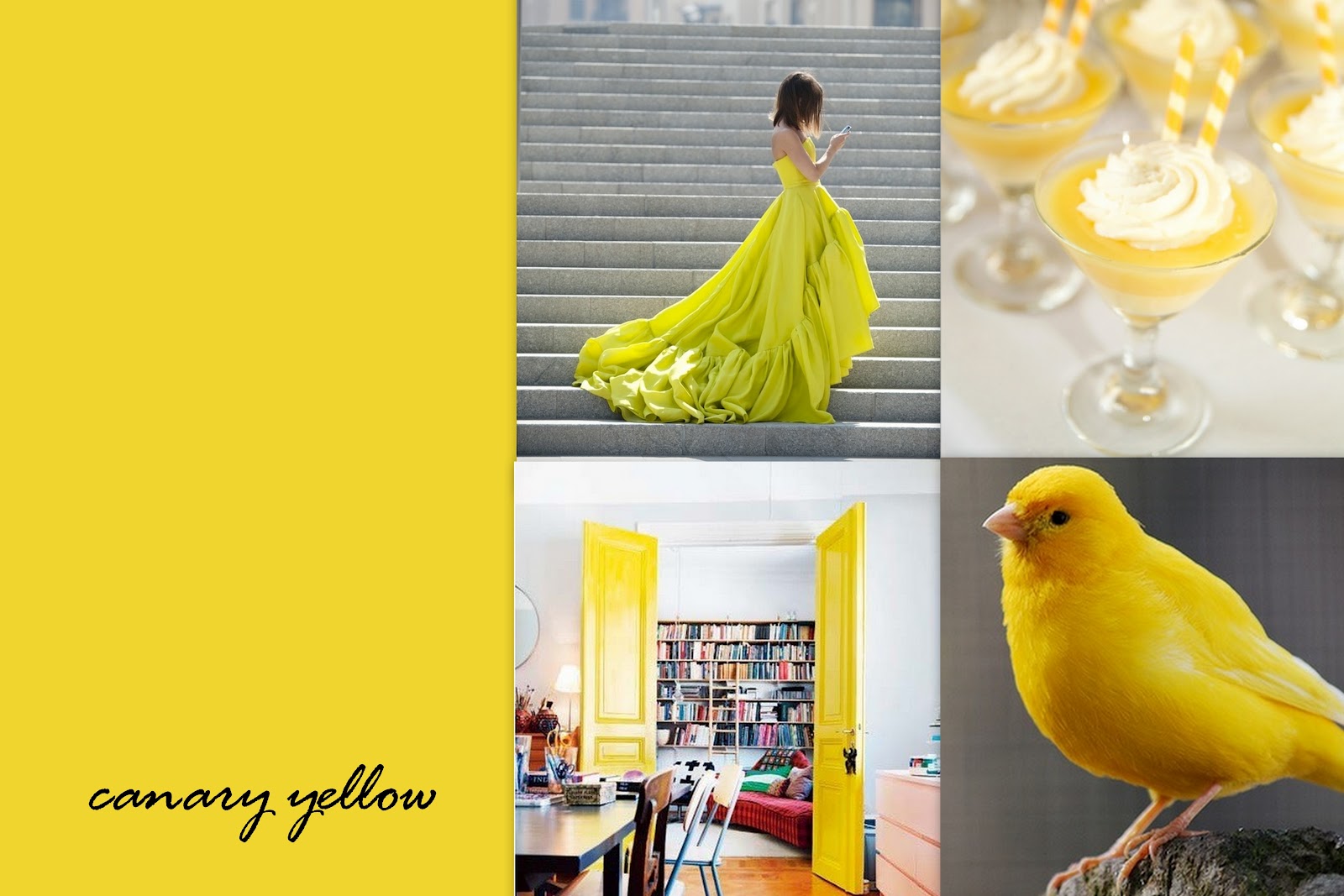 yellow canary off white