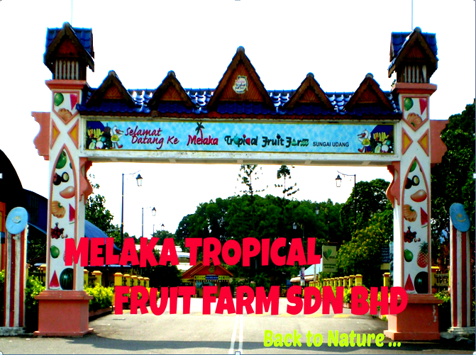 Melaka Tropical Fruit Farm MOMENT MTFF