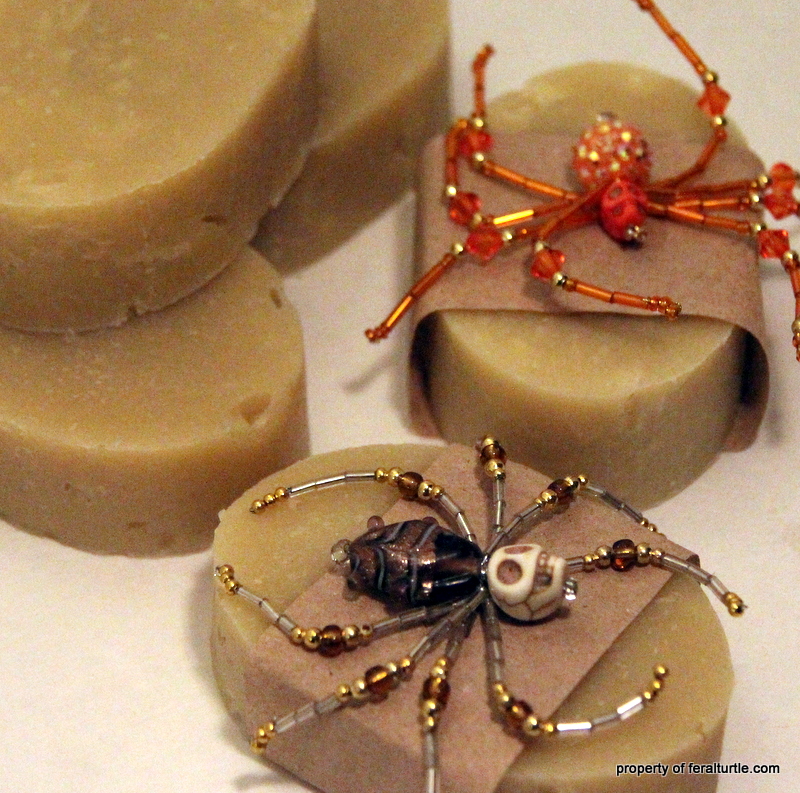 The Feral Turtle Dandruff Shampoo Bars.