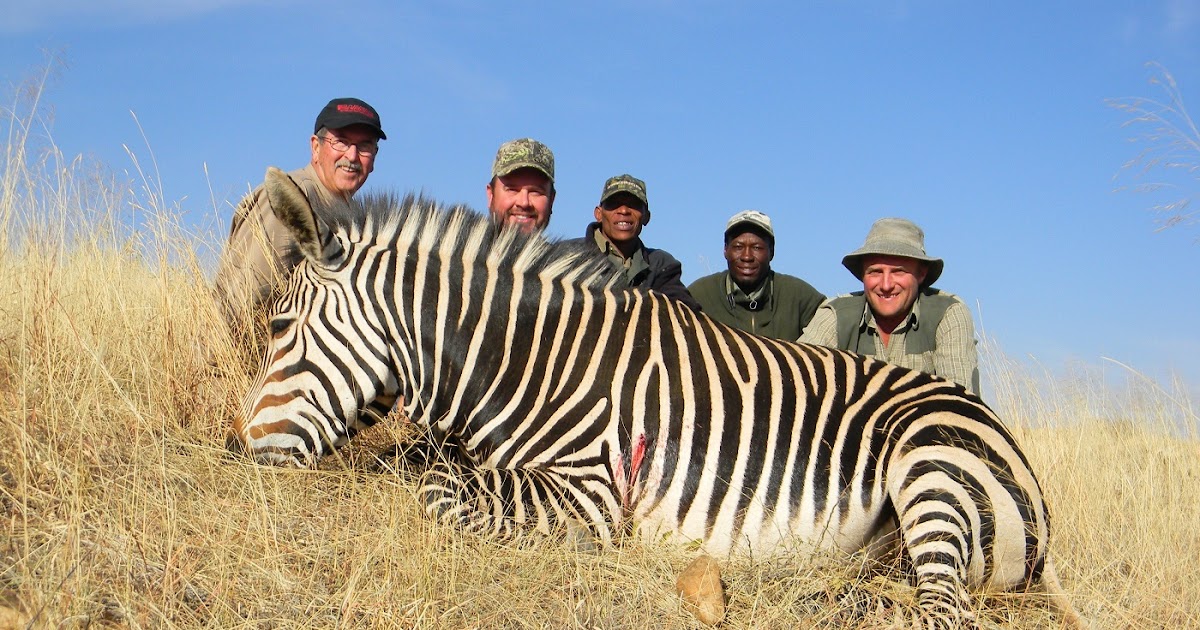 Accuracy Sports ZEBRA HUNTING