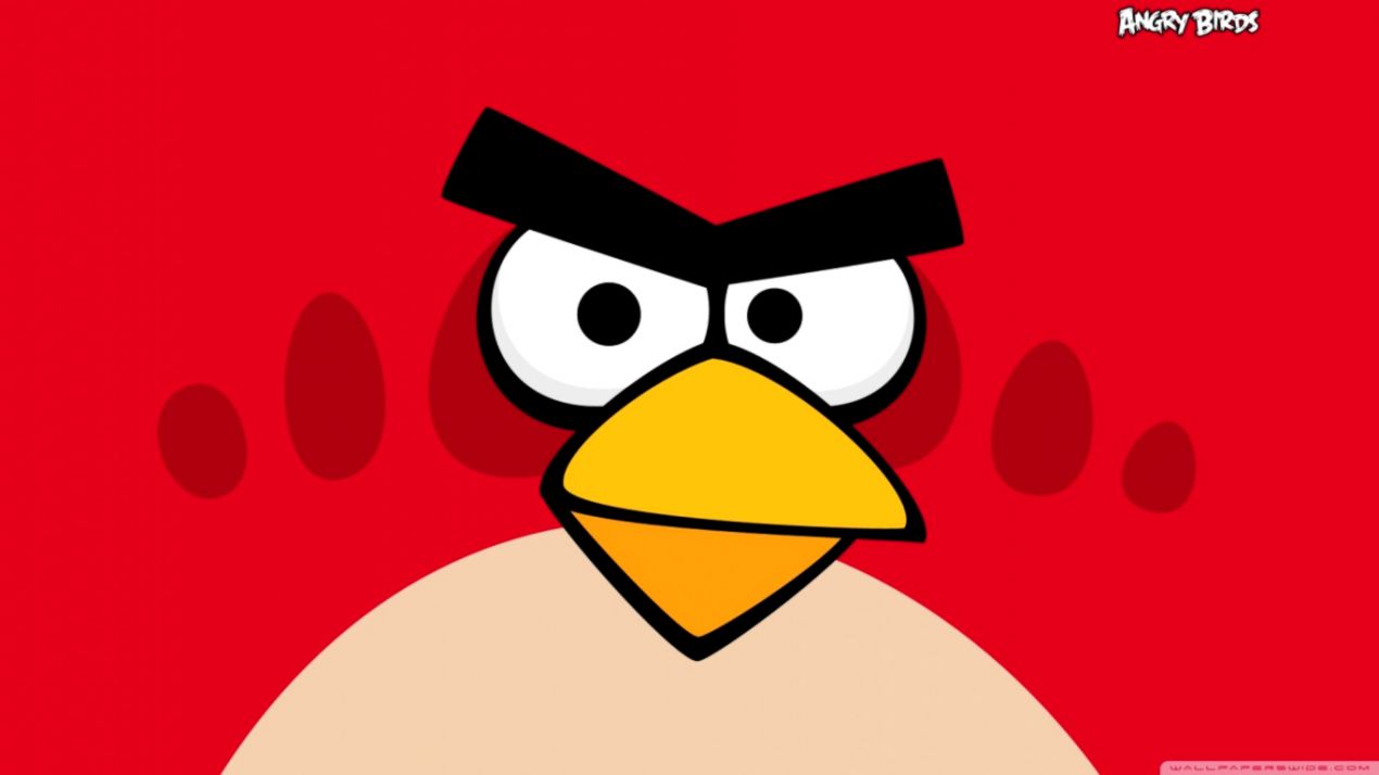 Angry Star Bird Hd Wallpaper