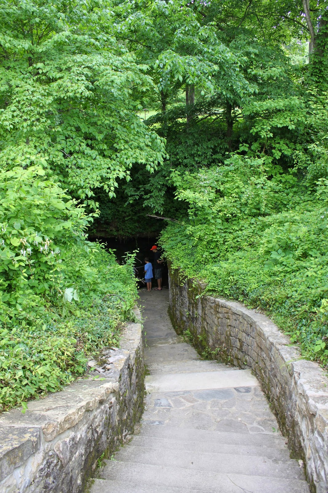 Life's a Trip Sinking Spring Farm...