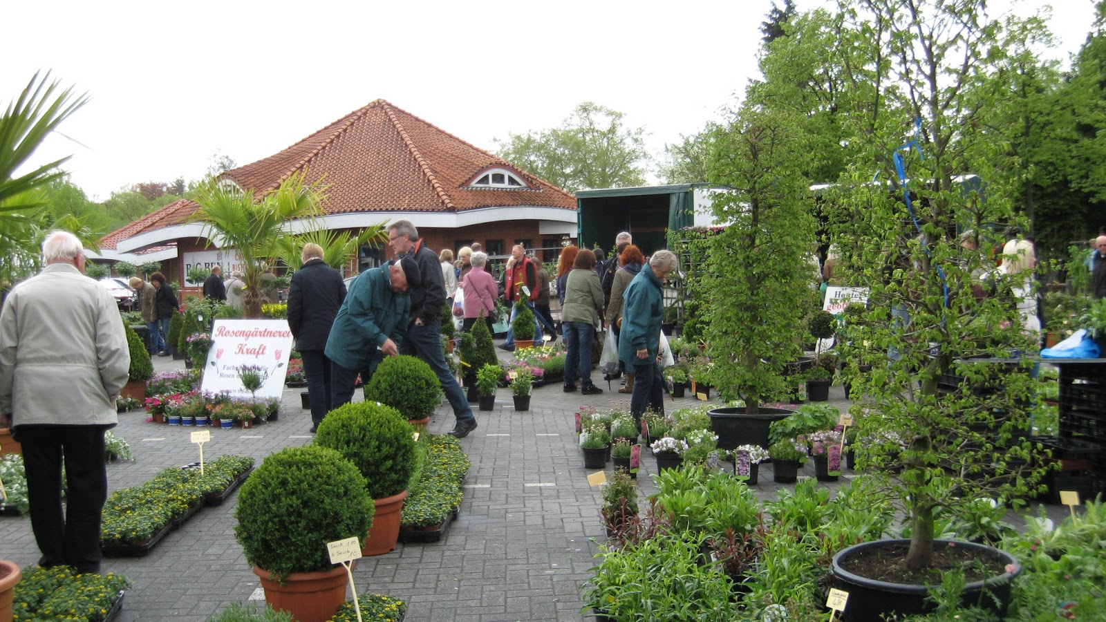 Wiesmoorinfo Blumen und Pflanzenmarkt