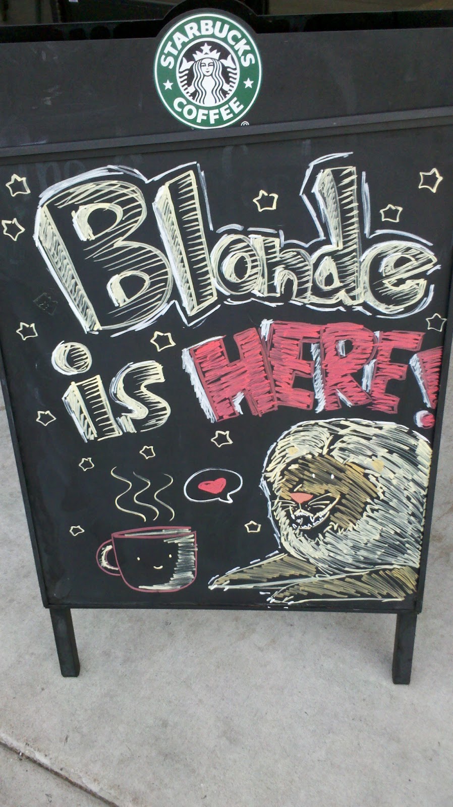 Shirley Jackson BFA 11 Shirley Jackson BFA AFrame Designs for Starbucks