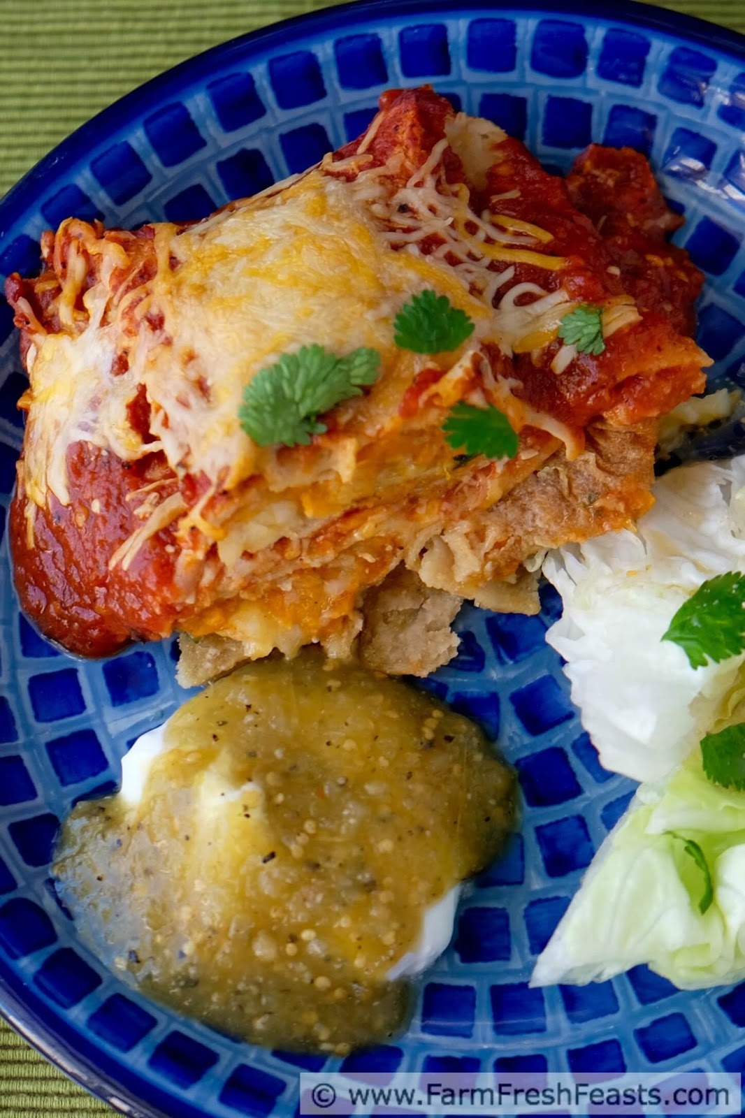Farm Fresh Feasts Roasted Sweet Potato and Onion Enchiladas