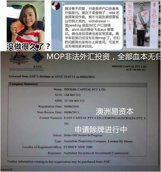 Mop group forex