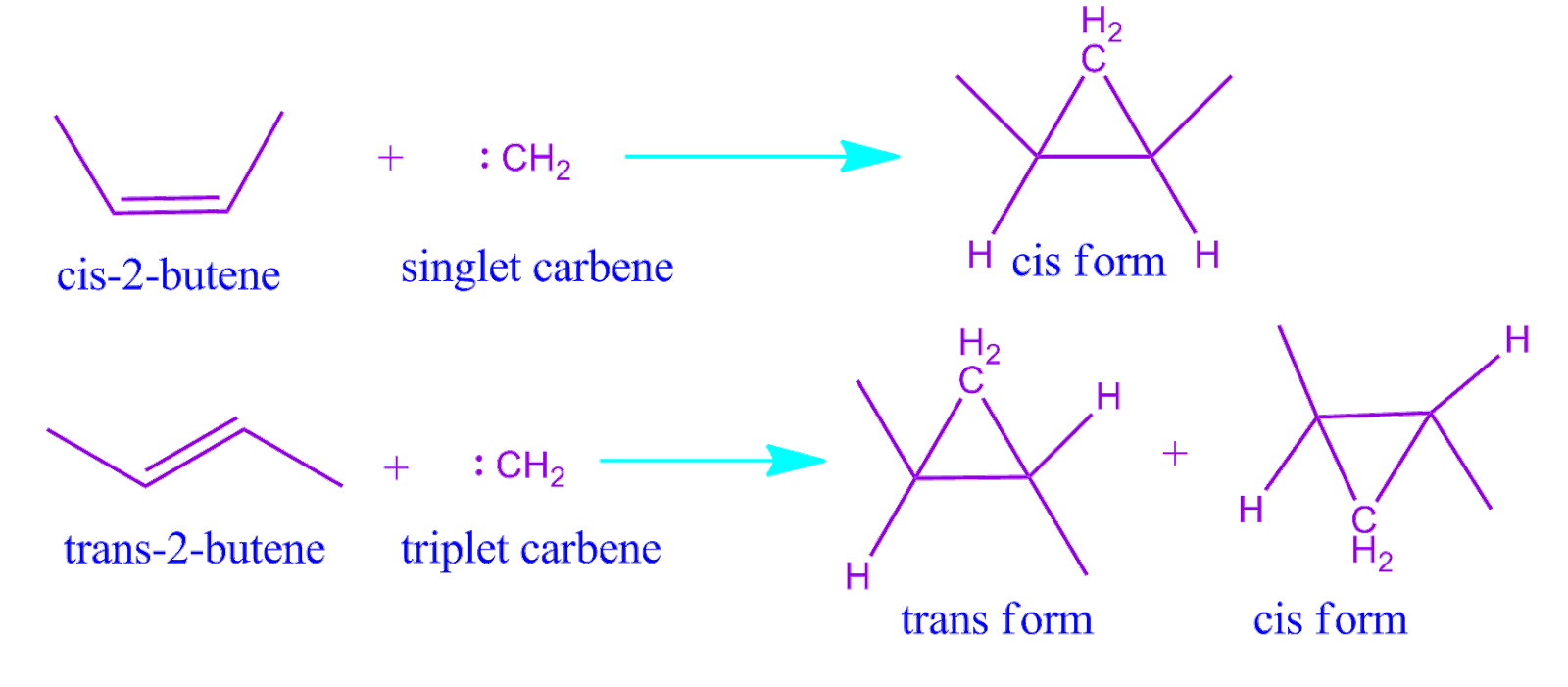 What is singlet and triplet carbene in chemistry?