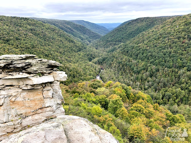 The Lindy Point trail in Tucker County is the perfect hiking trail for beginner hikers or non-hikers.