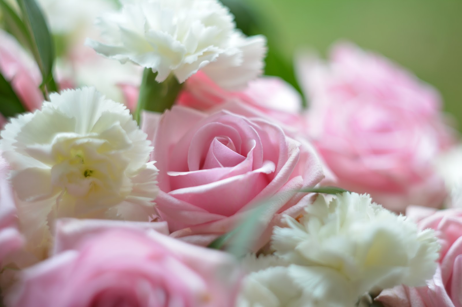 Saponeta 2 Geburtstag Von Unserer Tochter