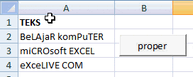 proper case Macro VBA