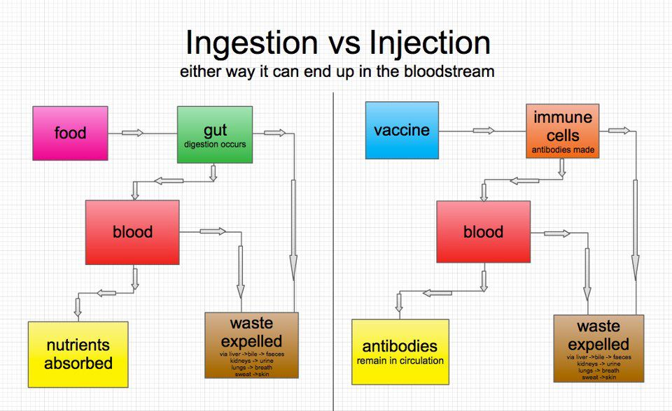Refutations to Anti-Vaccine Memes: Ingestion vs. Injection