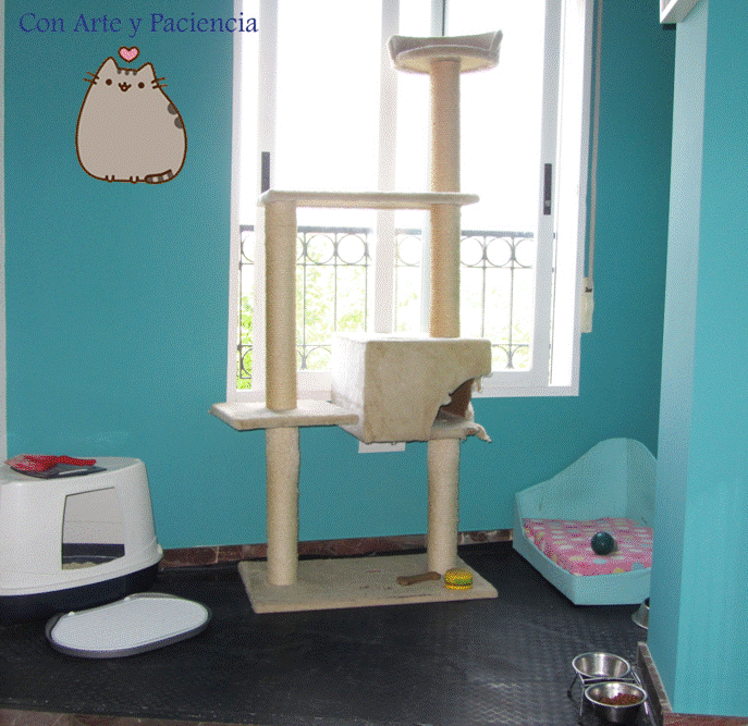 gatos, decorar,decoración,cajas blancas,mascotas,arenero,comedero,bebedero,perros