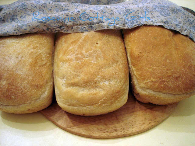 Rosemary Bread, Rosemary olive oil bread, homemade bread, by Rosevine Cottage Girls