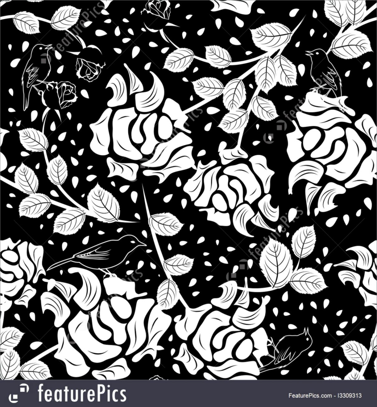 Black And White Abstract Flower Designs Best Hd Wallpapers