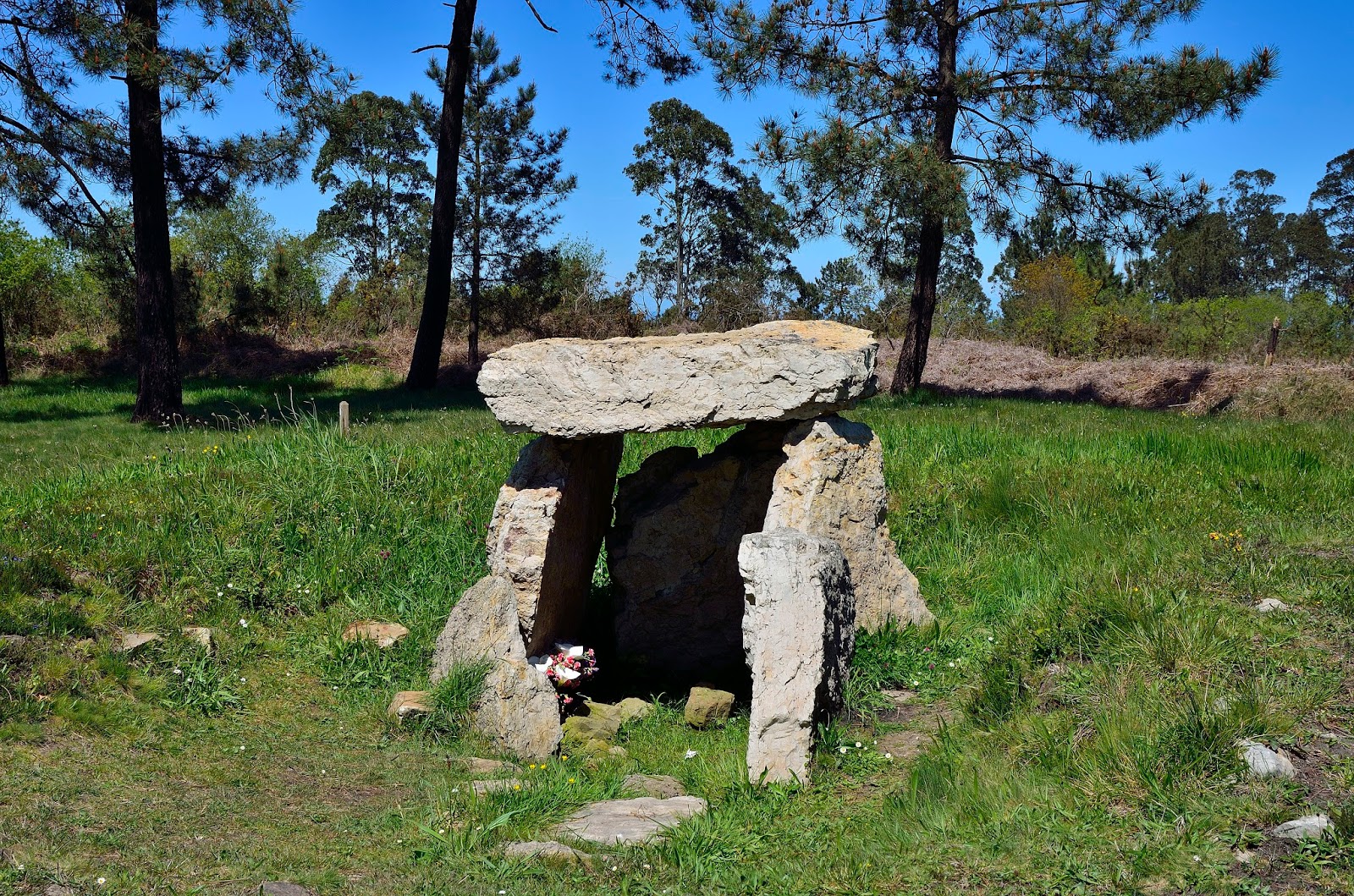 Foto de Área Recreativa Monte Areo en Carreño, Asturias