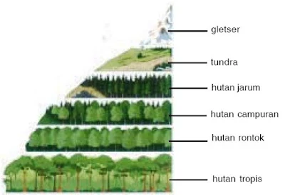 Jenis - Jenis Ekologi - berbagaireviews.com