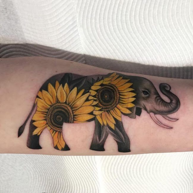 Tatuagens femininas de elefante Tatuagens femininas de elefante
