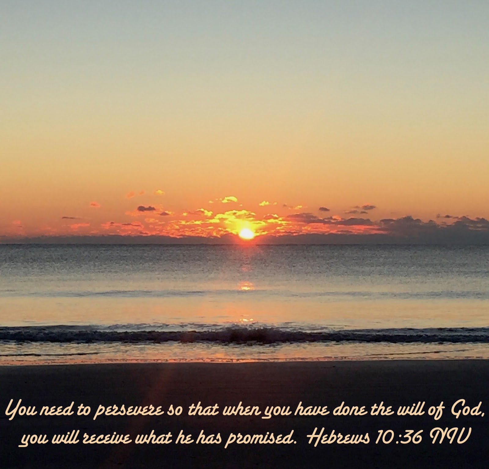 My Strength Hebrews 10 Thy Will my-strength-hebrews-10-thy-will