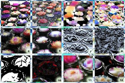 filter forge 5.0 pro vs 6.0 filter forge 5.0 pro vs 6.0